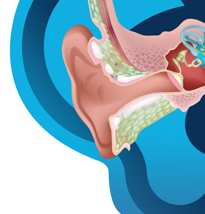 animated ear